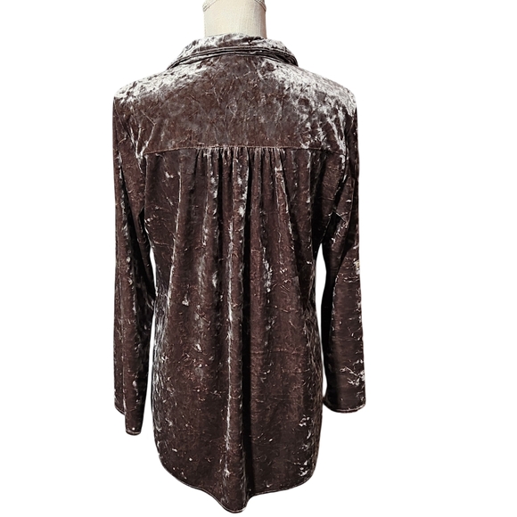 APRIL SKY Velvet Babydoll Top Womens Small Brown Embroidered Whimsigoth - Picture 5 of 9